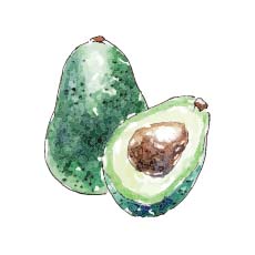 Avocado