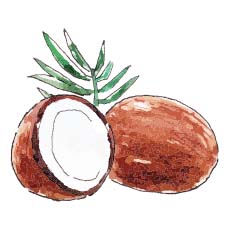 Coconut