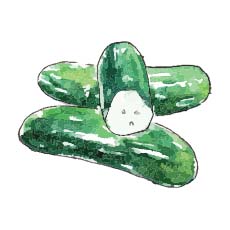 Cucumber